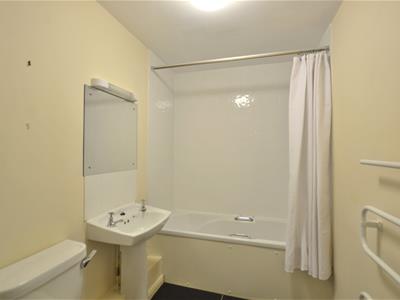 Picture 7